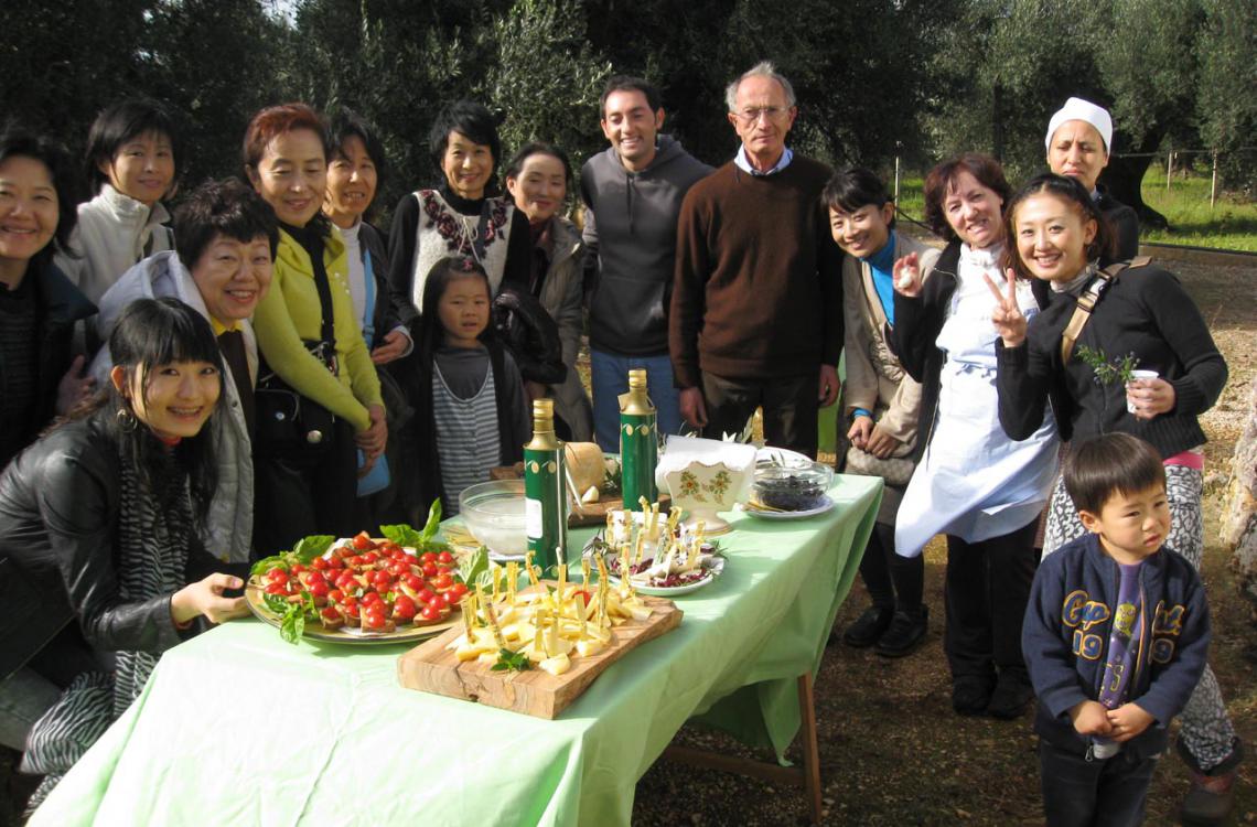 Raccolta delle olive nell'oliveto secolare della Masseria Salinola